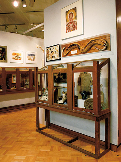 Anthropology Wsu Museums